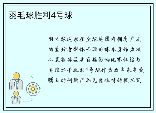 羽毛球胜利4号球